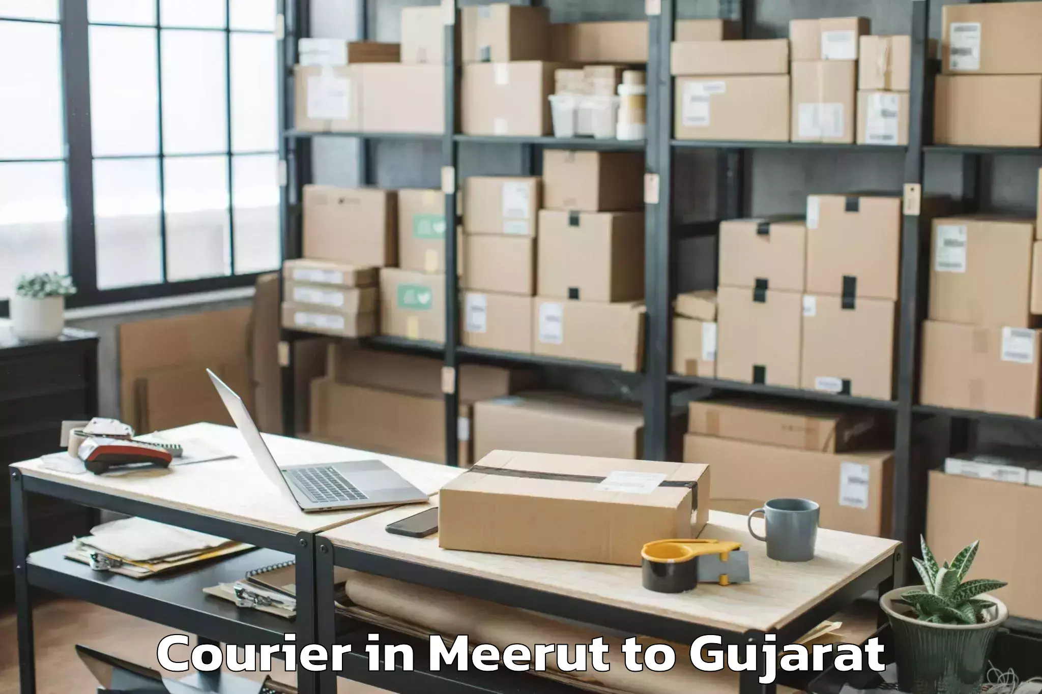 Comprehensive Meerut to Jhalod Courier